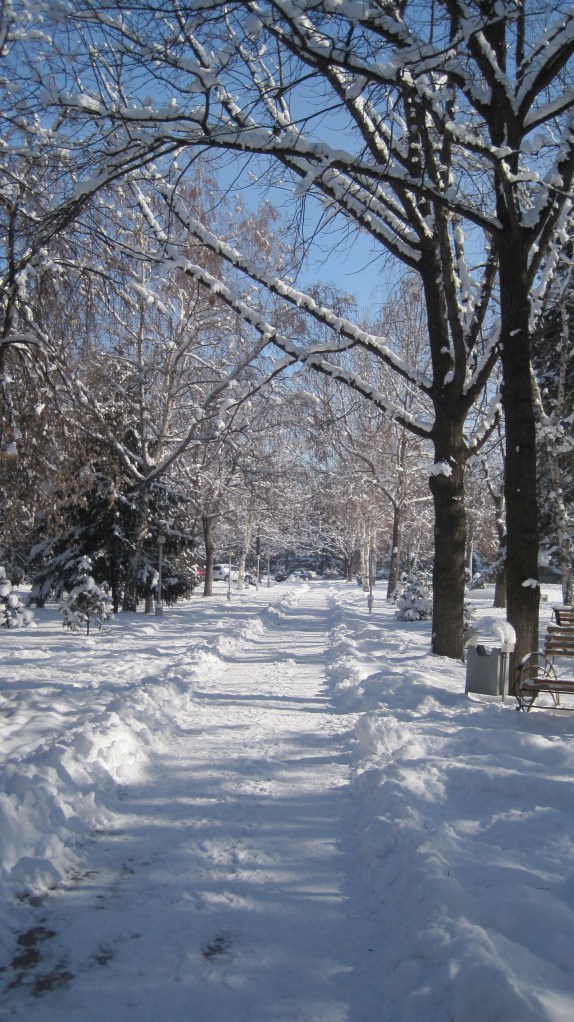 feb 25 walk to work 2