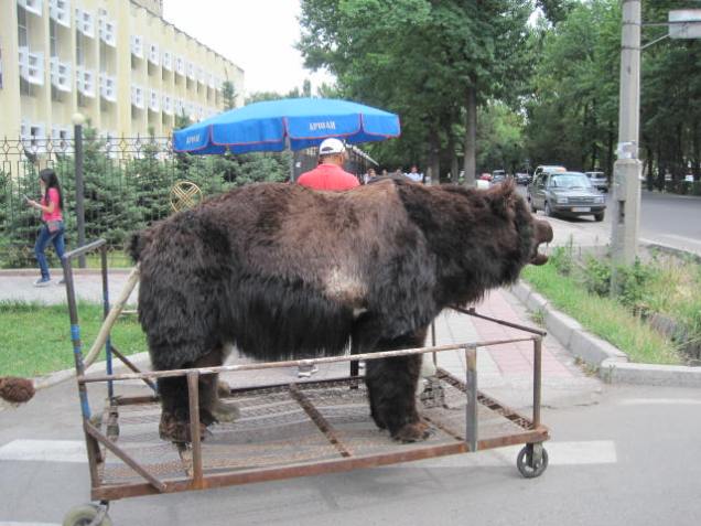 on the way to work june 10