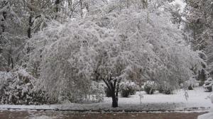 first snow of 2014 winter